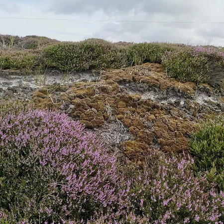18 Person In Nørre Nebel