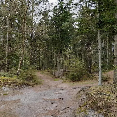 18 Person In Сasa de vacaciones *